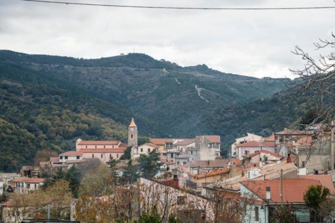 Sa Stiddiosa Guesthouse Gadoni Екстер'єр фото